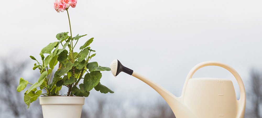 Кашпо с автополивом: как работает, плюсы и минусы, как пользоваться | Гид по выбору